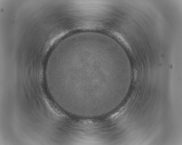 X0000088670588200705311145
