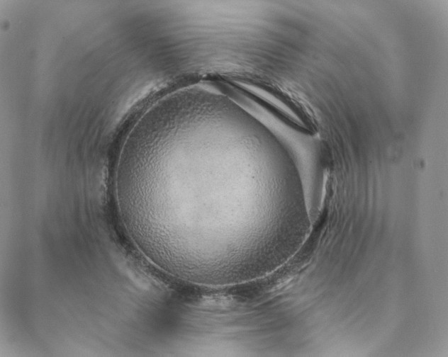 X0000088670591200705311145