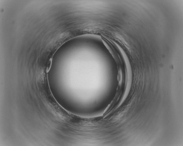 X0000088670597200705311145