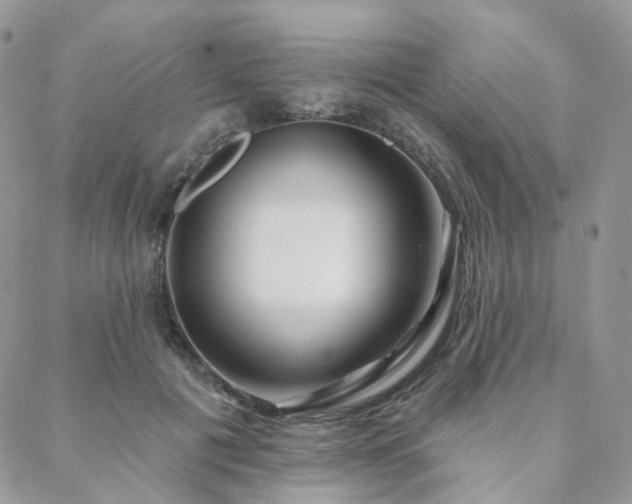 X0000088670601200705311145