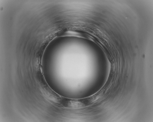 X0000088670605200705311144