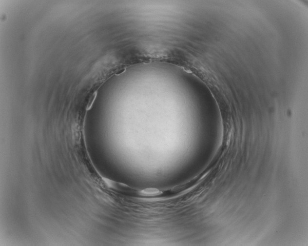 X0000088670609200705311144
