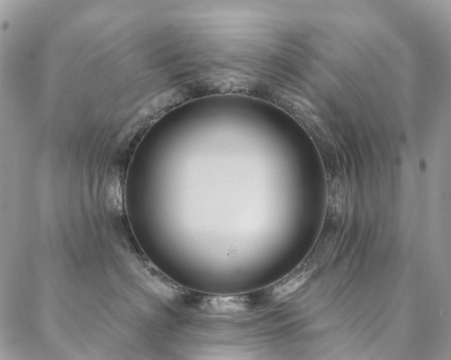 X0000088670622200705311144