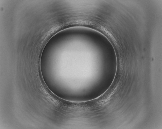 X0000088670625200705311143