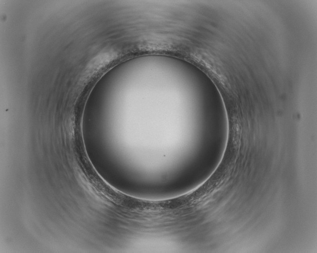 X0000088670631200705311143