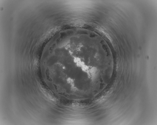 X0000088670641200705311144