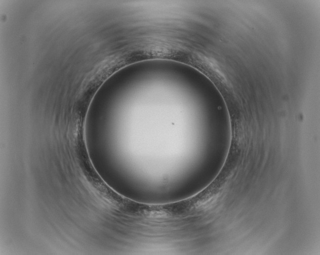 X0000088670645200705311144