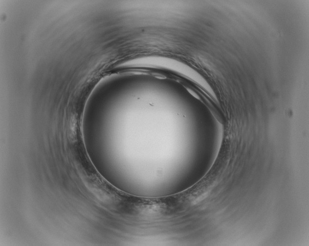 X0000088670646200705311144