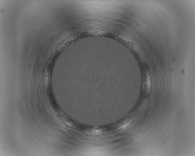 X0000088670647200705311144