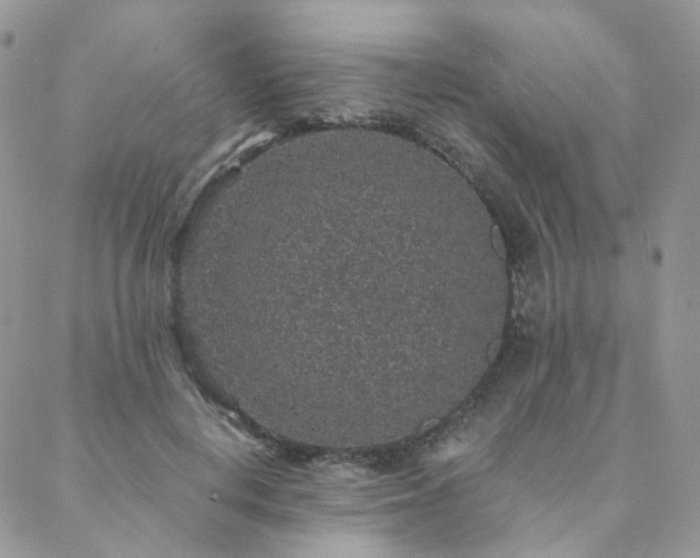 X0000088670648200705311144