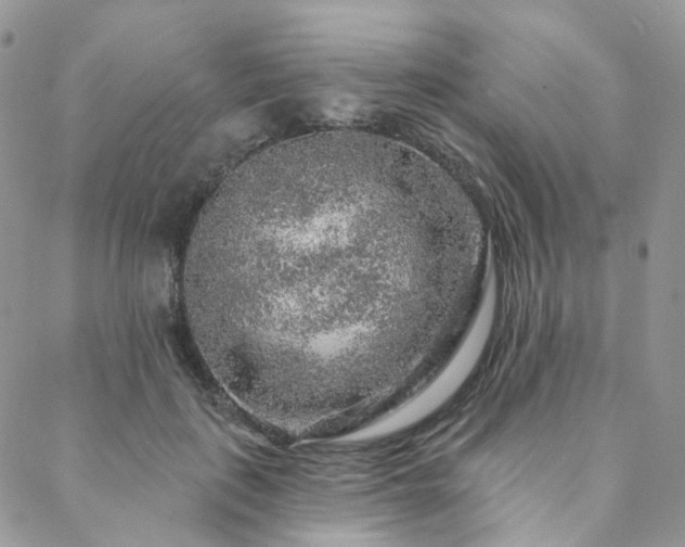 X0000088670651200705311144