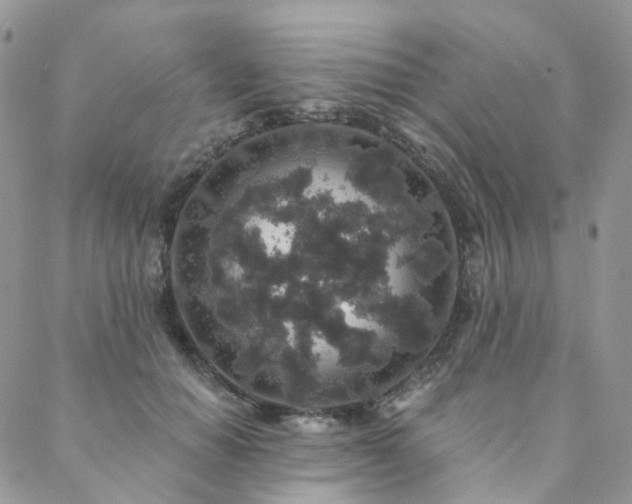 X0000088670654200705311144