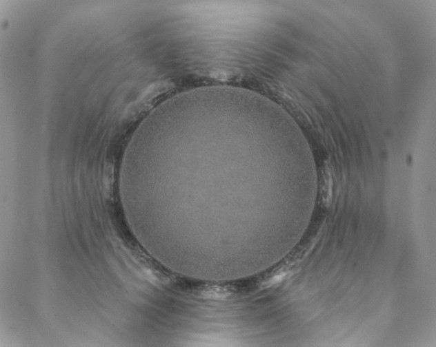 X0000088670656200705311144