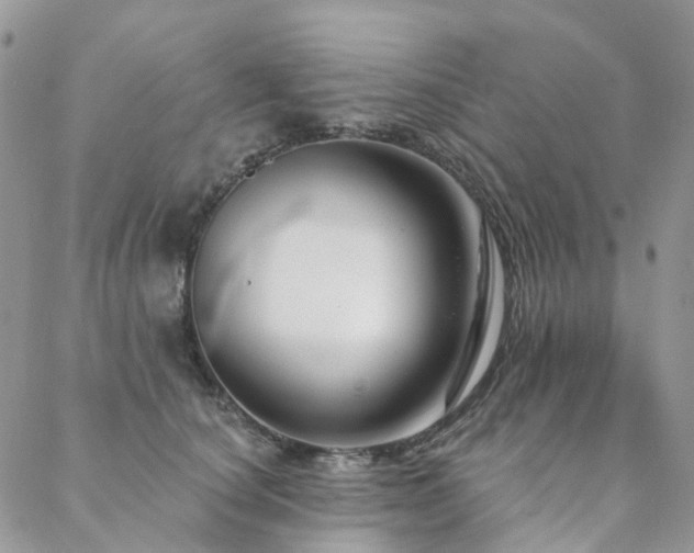 X0000088670660200705311144