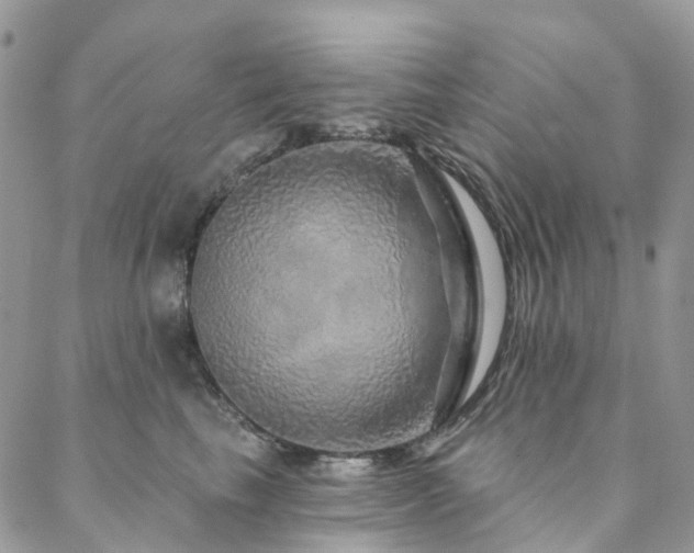 X0000088670665200705311144