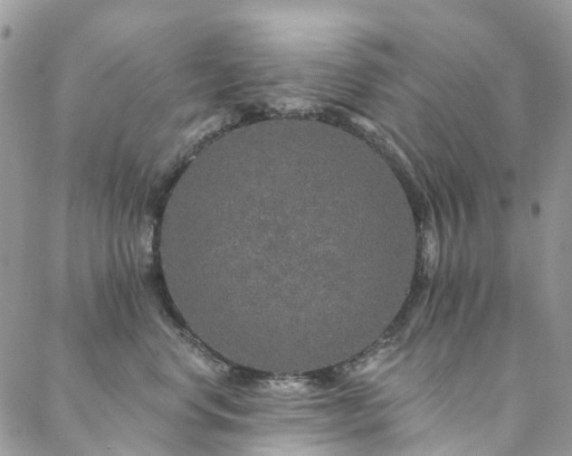 X0000088670668200705311144