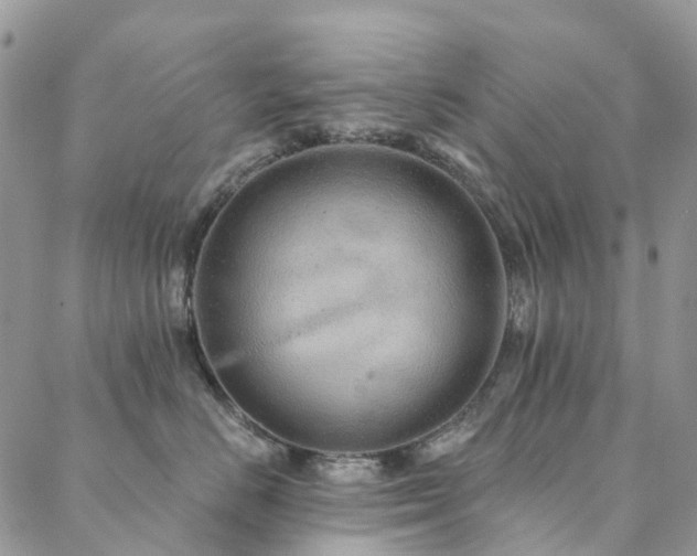 X0000088670670200705311144