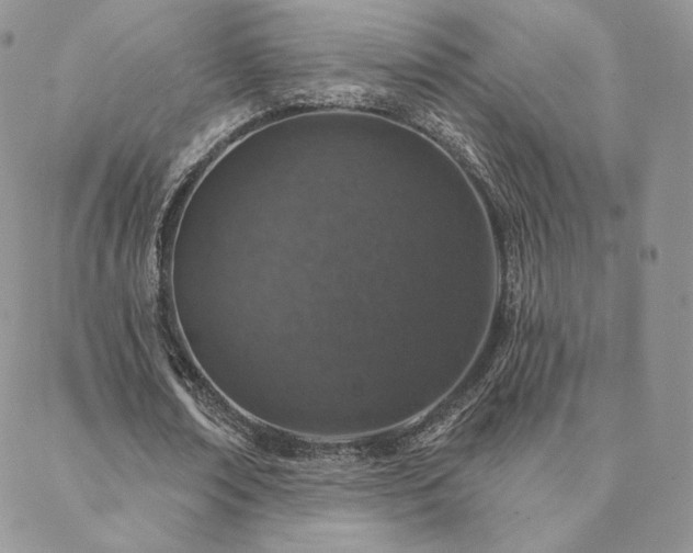 X0000088670674200705311143