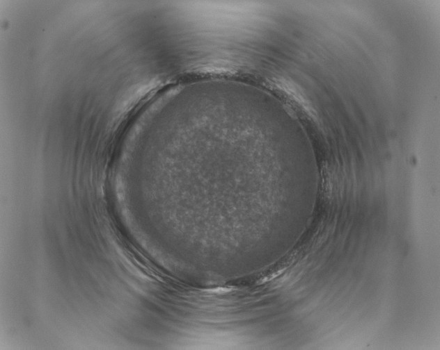 X0000088670692200705311143