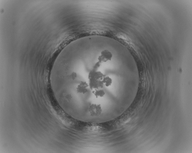 X0000088670695200705311143