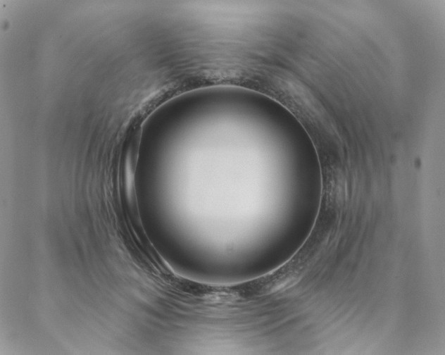 X0000088670700200705311143