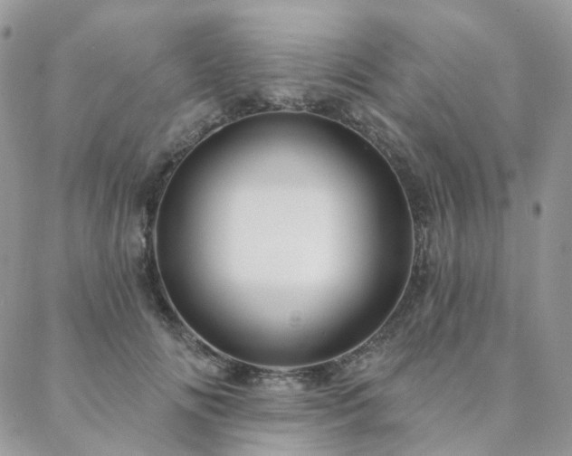 X0000088670702200705311143