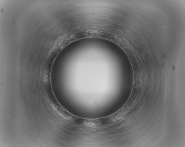 X0000088670706200705311143
