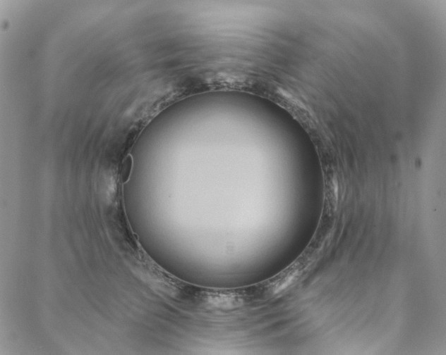 X0000088670709200705311143