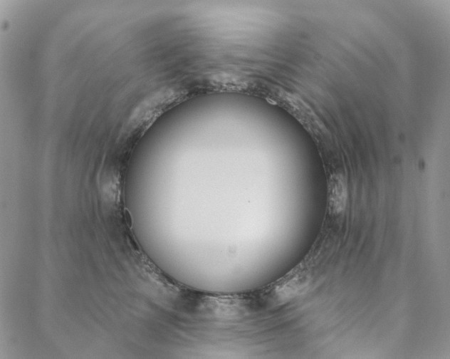 X0000088670713200705311143