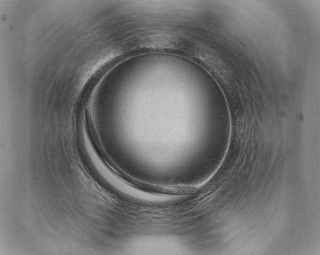 X0000088670727200705311142