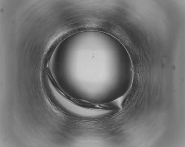 X0000088670728200705311142