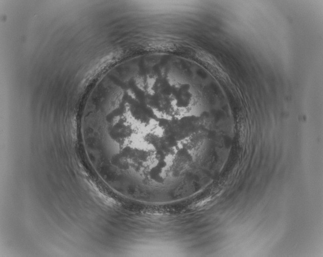 X0000088670729200705311142