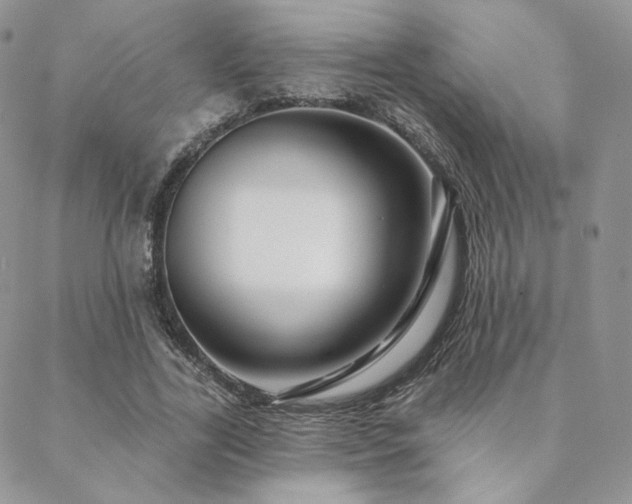 X0000088670731200705311142