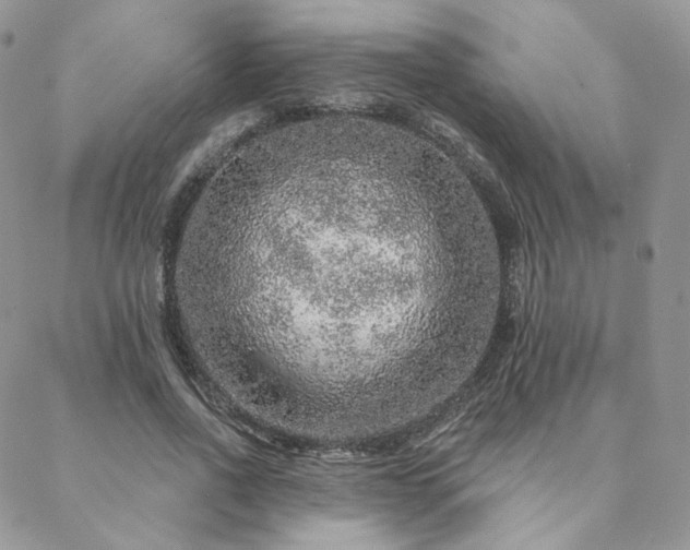 X0000088670734200705311142