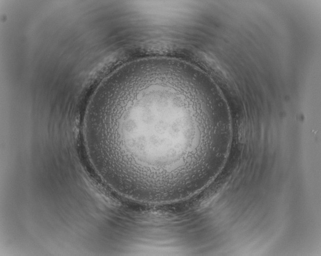 X0000088670737200705311142