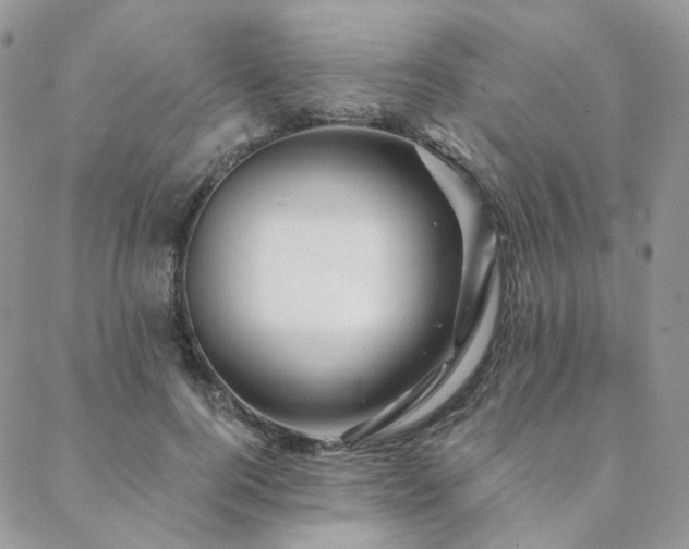 X0000088670744200705311142