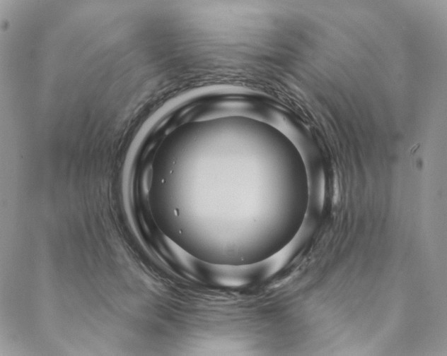 X0000088670750200705311142