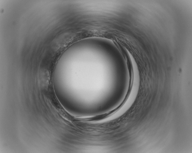 X0000088670752200705311142