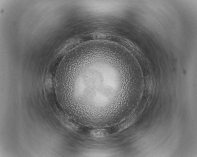 X0000088670761200705311142