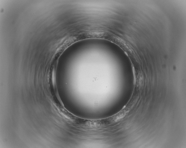 X0000088670764200705311143