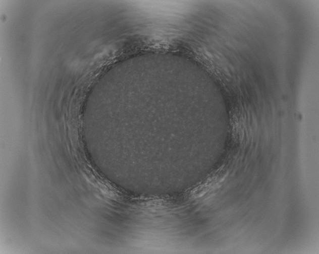X0000088670769200705311142