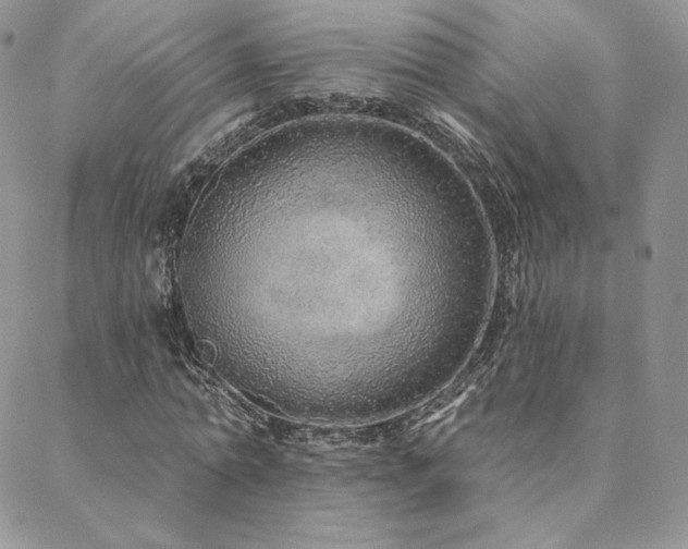 X0000088670774200705311142