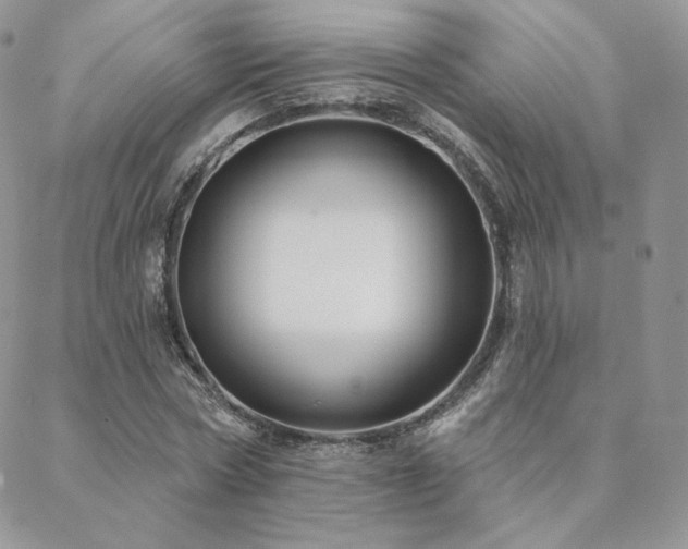X0000088670778200705311142