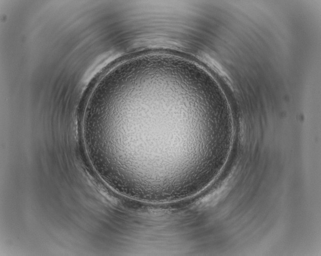 X0000088670782200705311142