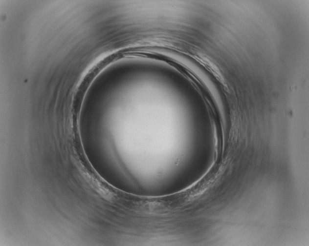 X0000088670784200705311142