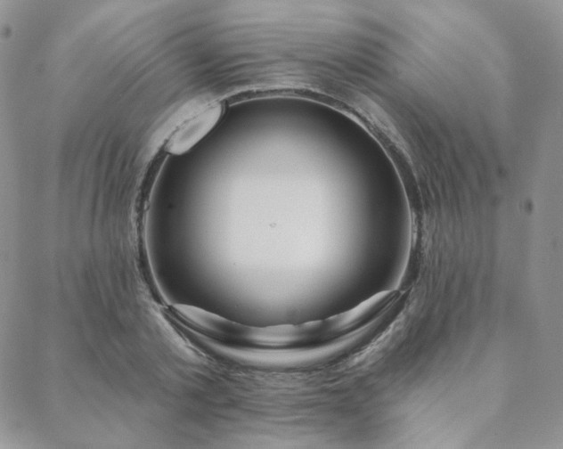 X0000088670789200705311141