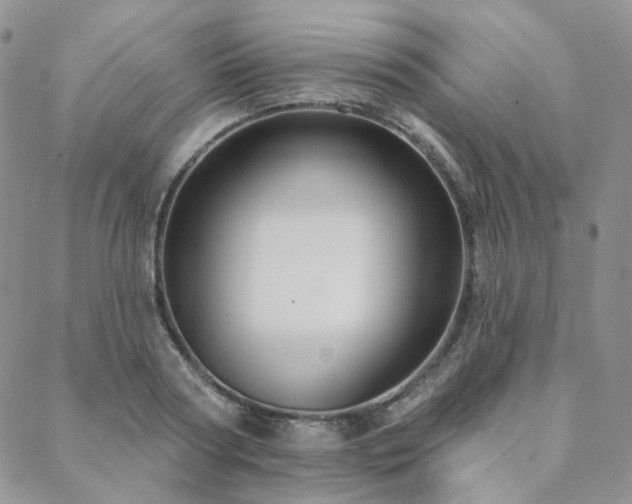 X0000088670794200705311141