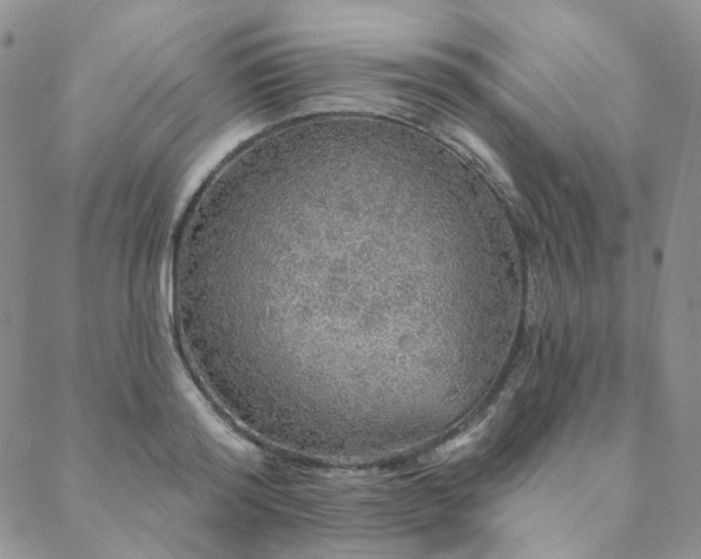 X0000088670796200705311141