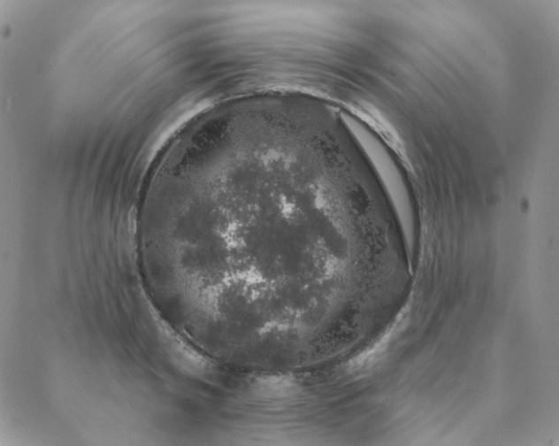 X0000088670798200705311141