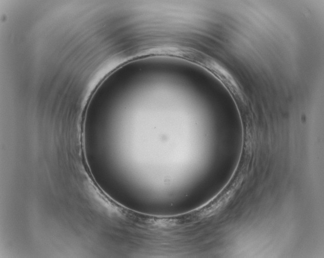 X0000088670808200705311141
